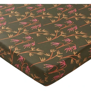 Becquet Drap housse coton imprimé DR. DAME NATURE Multicolore pas cher