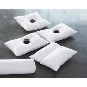 Becquet Oreiller Moelleux Antibactérien pas cher