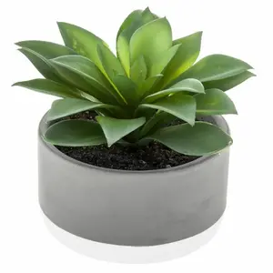 AC-DÉCO Plante Grasse Artificielle - D 12 X H 13 Cm - Livraison Gratuite