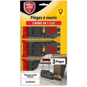 Comparateur de prix : Piège à souris plastique Protect Expert (3 pièces)
