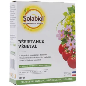 Solabiol - Bicarbonate de soude 350 gr pas cher