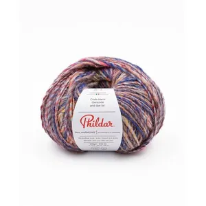 Phildar Pelote de laine à tricoter PHIL HARMONIE - 100GR - Cobalt mult...