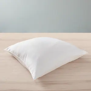 BLANREVE Blanrêve - Oreiller Microfibre Douceur traité anti acarien blanc 45x70 cm pas cher