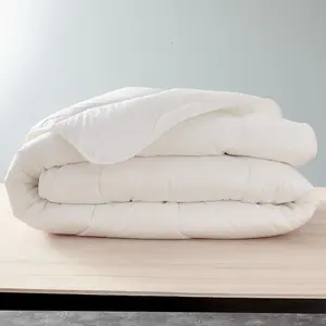 BLANREVE Blanrêve - Couette très chaude Polycoton Confort blanche 240x220 cmVendu parcarrefour
