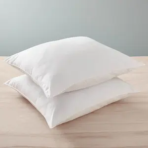 Comparateur de prix : BLANREVE Blanrêve - 2 Oreillers Polycoton Confort blancs 45x70 cm