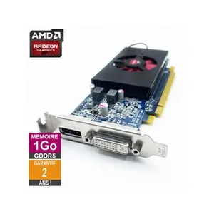 Carte graphique AMD Radeon HD 7570 1Go GDDR5 DVI DP Low Profile 113-C3...