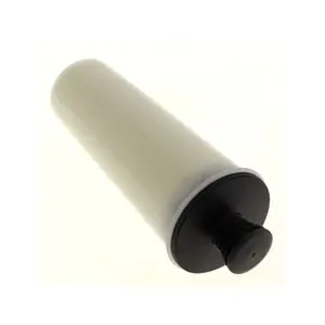 Kärcher Filtre anti-calcaire pour Nettoyeur vapeur Karcher - 3665392379119 pas cher