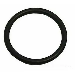Joint torique pompe de vidange c00054917 pour Lave-vaisselle Ariston