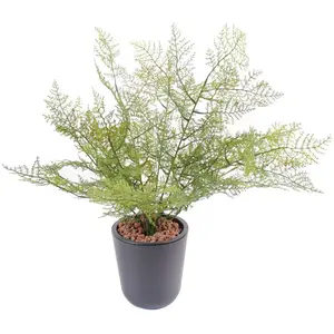 Pegane Plante Asparagus artificiel - 50 cm pas cher