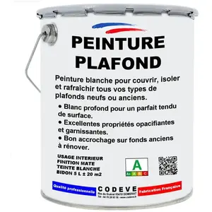 Codève Bois - Peinture Plafond - 5 l - Codeve BoisVendu paramazon
