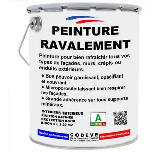 Peinture Ravalement - Pot 4x5 L   - Codeve Bois - 1015 - Ivoire clairVendu paramazon