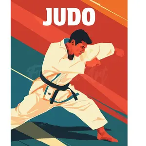 Figured'Art Peinture par Numéro Adulte Affiche sportive Judo - Activité Manuelle Kit de Loisir Créatif DIY Numéro d'Art Complet - 40x50cm sans châssis en bois pas cher