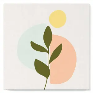 Figured'Art Mini Peinture par Numéro Adulte 20x20cm avec cadre Plante 3 - Petit Format Kit de Loisir Créatif DIY Numéro d'Art Complet