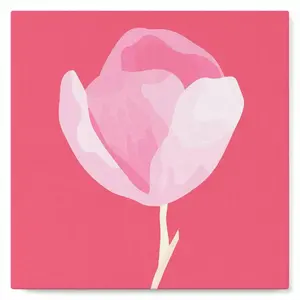 Figured'Art Mini Peinture par Numéro Adulte 20x20cm avec cadre Tulipe sur Tige - Petit Format Kit de Loisir Créatif DIY Numéro d'Art Complet pas cher
