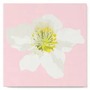 Figured'Art Mini Peinture par Numéro Adulte 20x20cm avec cadre Fleur d'Eglantier - Petit Format Kit de Loisir Créatif DIY Numéro d'Art Complet pas cher