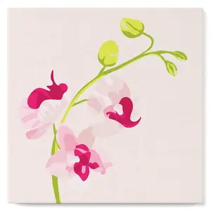 Figured'Art Mini Peinture par Numéro Adulte 20x20cm avec cadre Branche d'Orchidée 2 - Petit Format Kit de Loisir Créatif DIY Numéro d'Art Complet pas cher