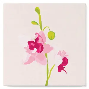 Figured'Art Mini Peinture par Numéro Adulte 20x20cm avec cadre Orchidée - Petit Format Kit de Loisir Créatif DIY Numéro d'Art Complet pas cher