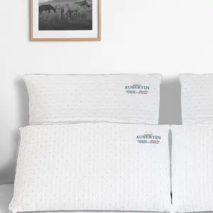 Comparateur de prix : Maison Aubertin - Oreiller Malva Ergonomique blanc - 60x60 cm 60x60 cm