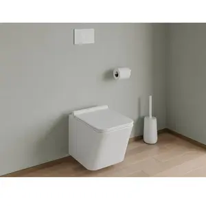 Comparateur de prix : VENTE-UNIQUE Plaque de déclenchement pour WC avec double touche - Blanche - OPULUS