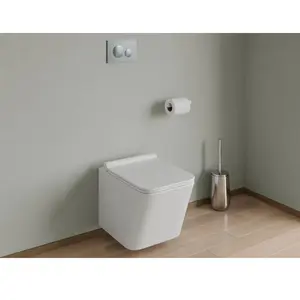 VENTE-UNIQUE Plaque de déclenchement pour WC avec double touche - OPULUS - Gris - ABS - Brillant - A fixer au murVendu pardarty