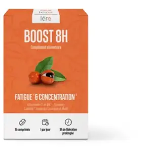 LERO Boost 8h x15 comprimés pas cher