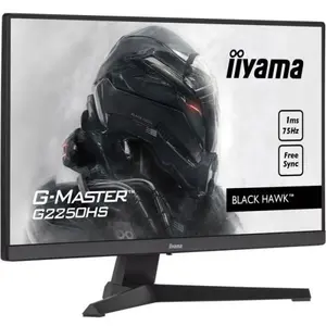 Écran 21" LED Iiyama G-Master G2250HS-B1 pas cher