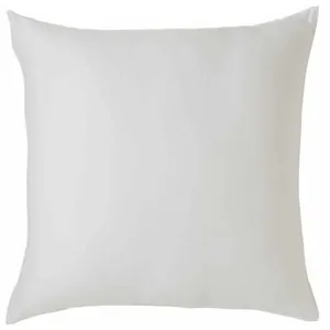 TOISON D'OR - Oreiller - Eole - Confort souple - 60x60cm - Blanc pas cher