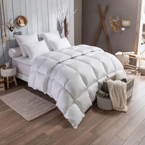 Comparateur de prix : Couette - TOISON D'OR - Daisy chaude - 220x240cm - Plumette et duvet