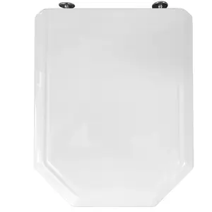 Abattant pour wc SELLES Equipage 1 (entraxe 220 mm), blanc ESPINOSA pas cher