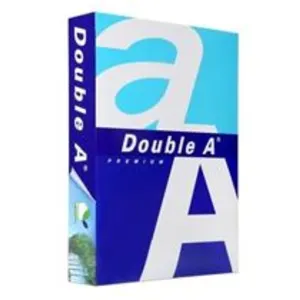 DOUBLEA RAMETTE 500F A4 80G pas cher