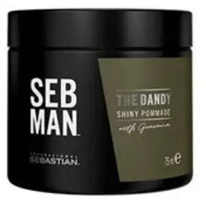 Sebastian Professional SEB MAN The Dandy pommade cheveux pour une fixation naturelle 75 ml pas cher