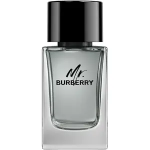 Burberry - Mr. Burberry Eau De Toilette Vaporisateur 100ml pas cher