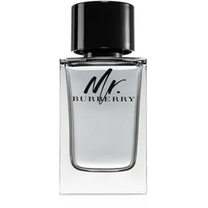 Burberry Mr. Burberry Eau de Toilette pour homme 150 ml pas cher