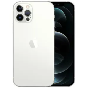 Apple iPhone 12 Pro 6,1 256 Go Double SIM 5G Argent - pas cher