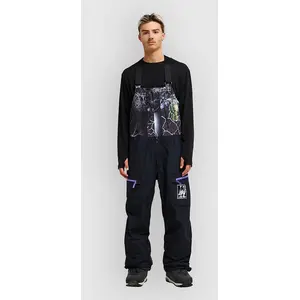 Quiksilver Peter Sutherland Gore-Tex Bib Pants à motifs M pas cher