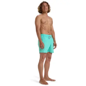 Comparateur de prix : Billabong All Day Layback 16" - Boardshort homme Bermuda XXL