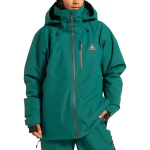 Veste de ski DC Shoes Basis 30K Vert M EDYTJ03110-BTG0 pas cher