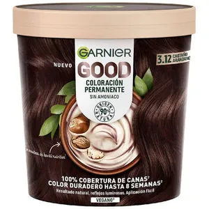 Garnier Bonne couleur permanente #3.12 myrtille châtaigne pas cher