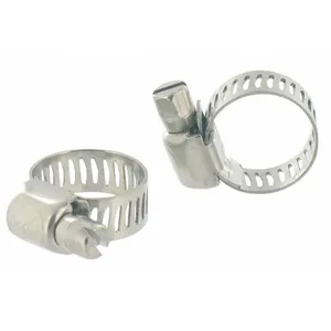 CAP VERT - 2 Colliers de serrage à bande inox 8 mm / 24-36 mmVendu paramazon
