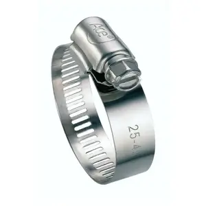 CAP VERT - 2 Colliers de serrage à bande inox 13 mm / 14-22 mmVendu paramazon