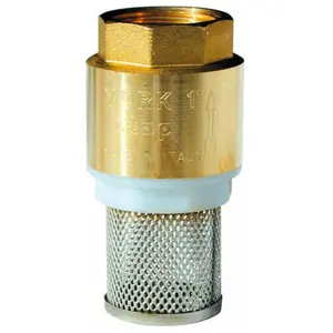 Capvert - Crépine laiton filtre inox Femelle 3/4 pas cher