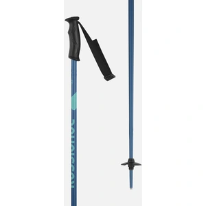 Rossignol Bâtons Electra pas cher