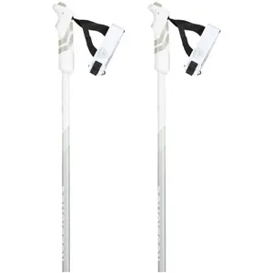 Comparateur de prix : Rossignol Batons De Ski Electra Premium Clip Silver gris 110cm
