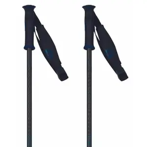 Rossignol Bâtons Electra Premium pas cher