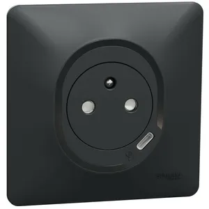 Prise terre + USB C 1 poste Ovalis Anthracite Schneider pas cher