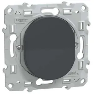 Mécanisme poussoir Schneider Ovalis anthracite pas cher