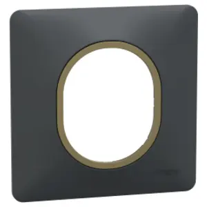 Plaque de finition 1 poste Schneider Electric Ovalis S340702E coloris anthracite avec liseré laiton l.87 x P.10 x H.87 mm pas cher