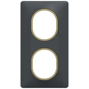 Plaque de finition 2 postes Schneider Ovalis S340724E coloris anthraci... pas cher