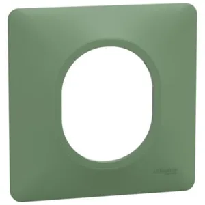 Plaque de finition 1 poste Ovalis Schneider Finition: Vert forêt pas cher