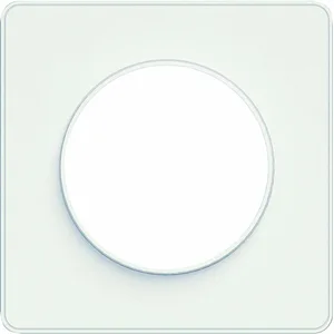 Schneider S520802 Plaque 1 poste Odace Touch Liseré blanc